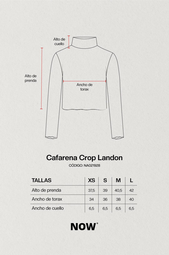 Cafarena Crop Landon CAFARENAS NOW 